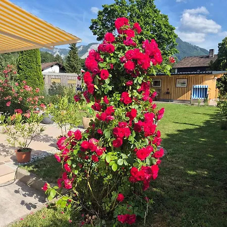 Sonnenschein Bad Reichenhall